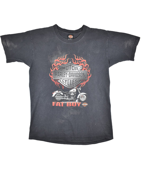 2001 HARLEY DAVIDSON Vintage T-Shirt (L)