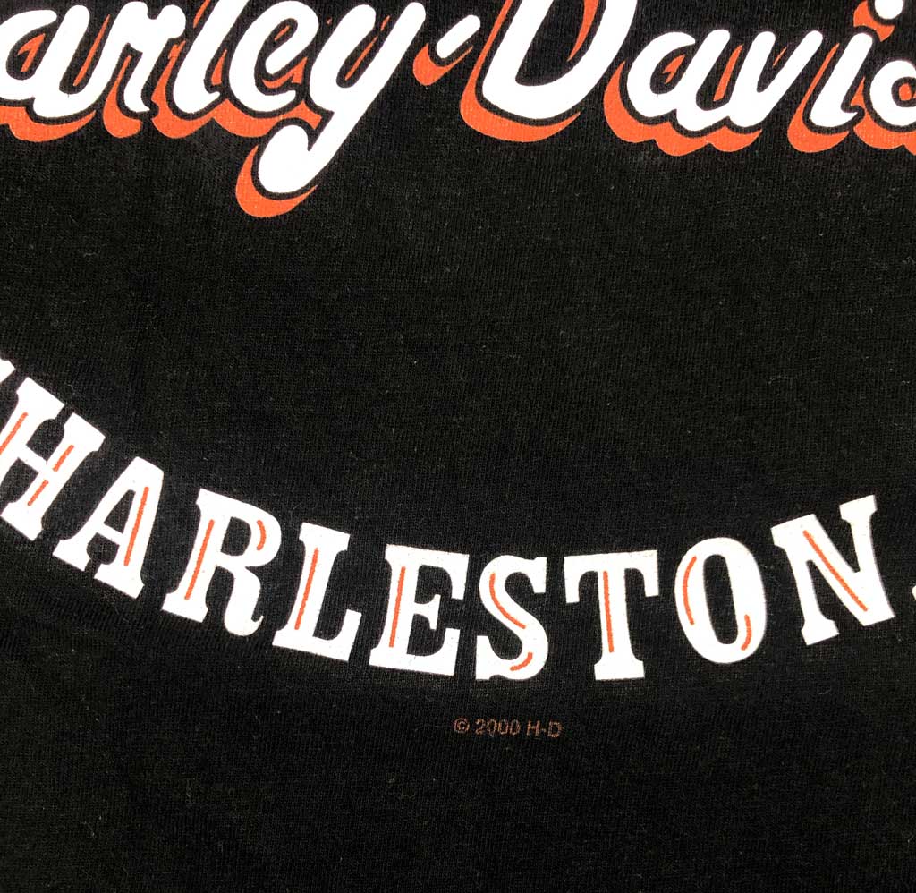 2000 HARLEY DAVIDSON Vintage T-Shirt (L)