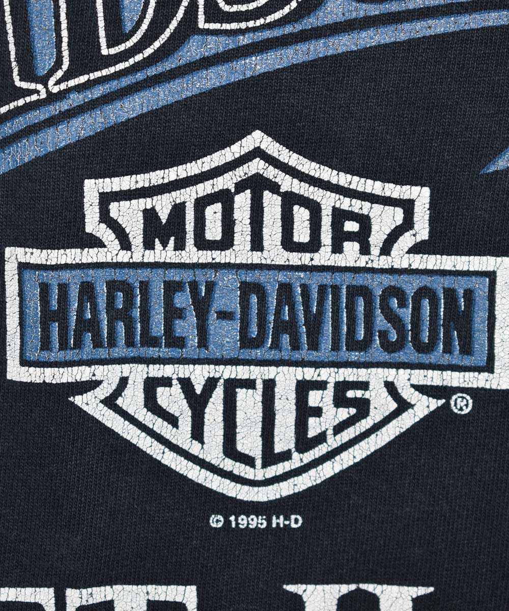 Camiseta Vintage HARLEY DAVIDSON 1995 (XL)