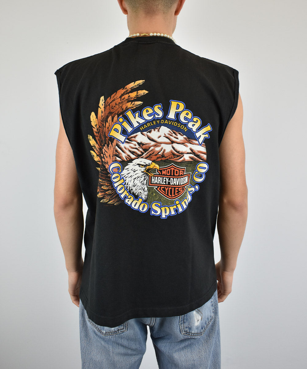 Camiseta sin mangas HARLEY DAVIDSON 2001 (L)