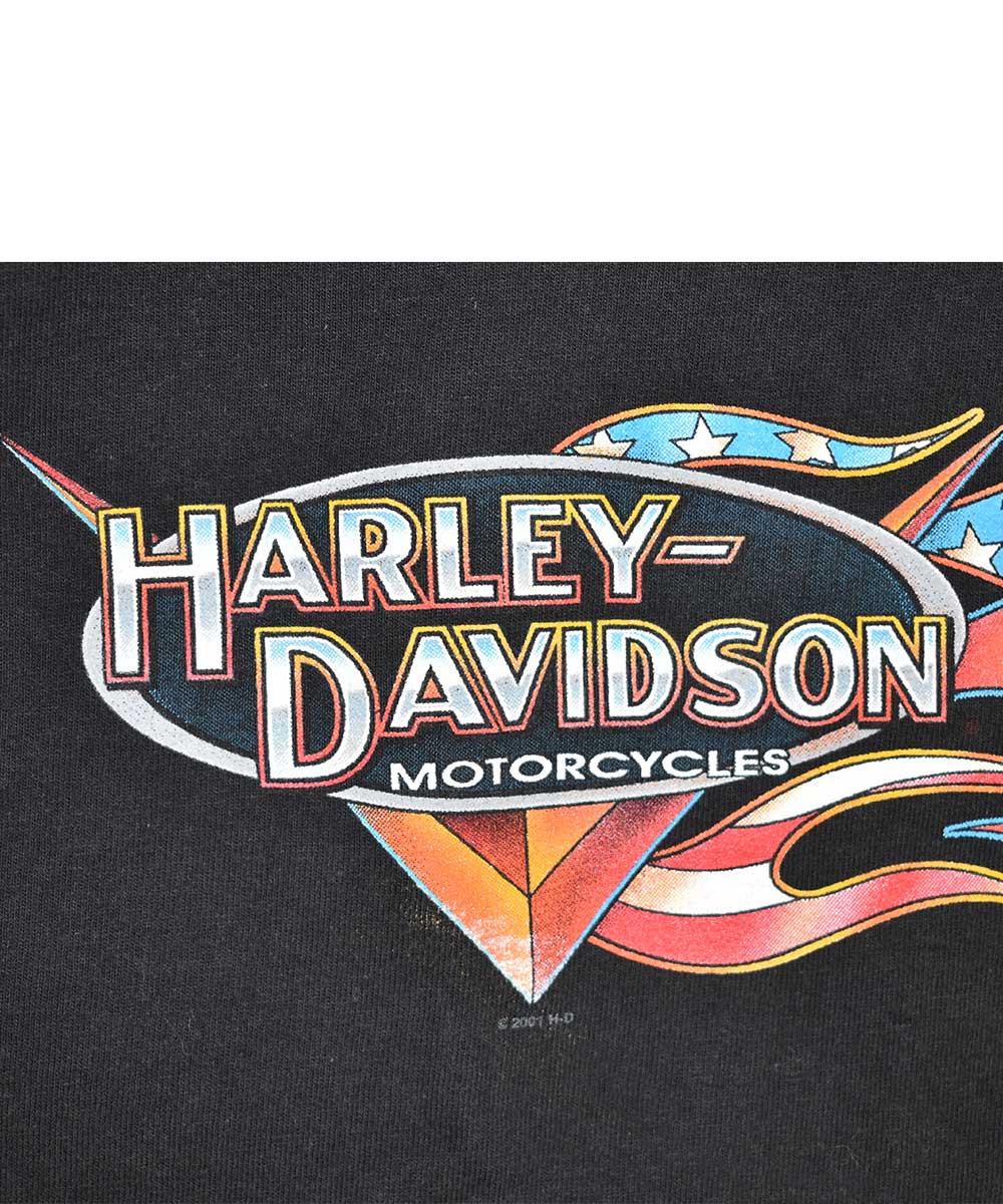 Camiseta sin mangas HARLEY DAVIDSON 2001 (L)