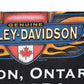 Camiseta Vintage HARLEY DAVIDSON 2002 (M)