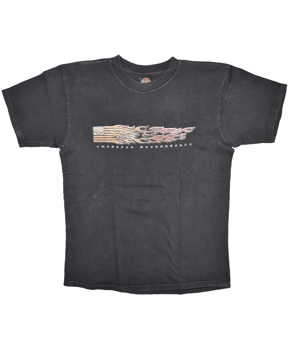 Camiseta vintage HARLEY DAVIDSON 2001 (L)