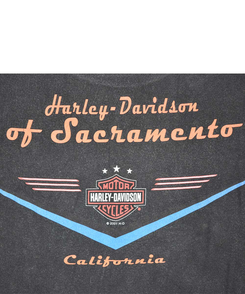 2001 HARLEY DAVIDSON Vintage T-Shirt (L)