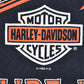 Camiseta HARLEY DAVIDSON 1995 (2XL)