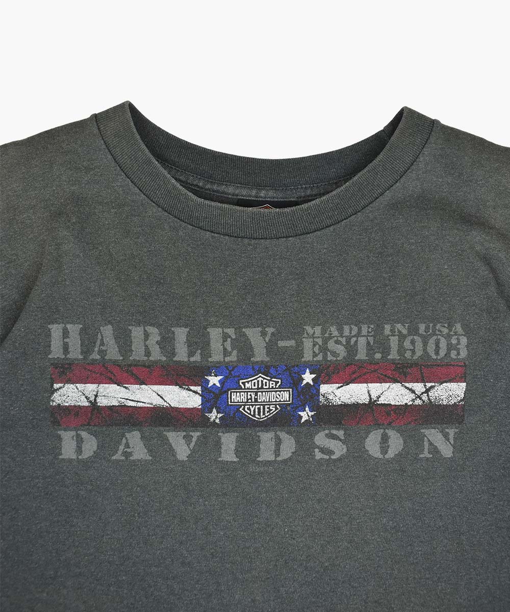 2001 HARLEY DAVIDSON T-Shirt (L)