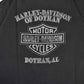 Camiseta HARLEY DAVIDSON 2001 (L)