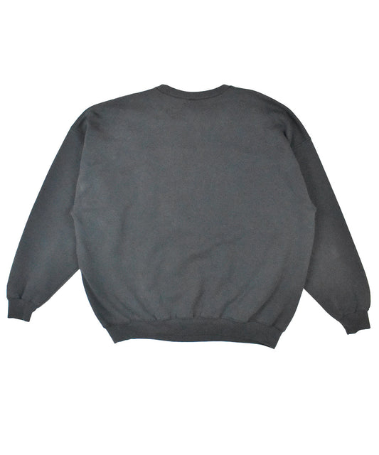 1990s CHAMPION Sweatshirt (2XL)