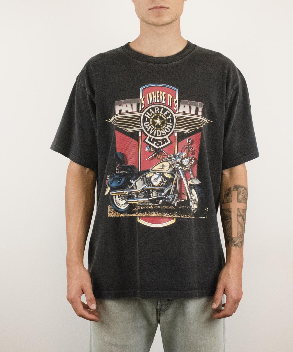 Camiseta HARLEY DAVIDSON 1993 (L)