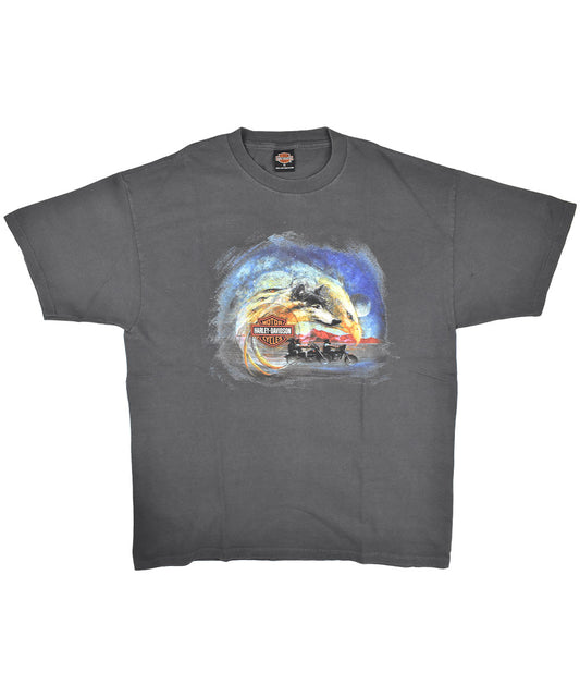 1990s HARLEY DAVIDSON T-Shirt (XL)