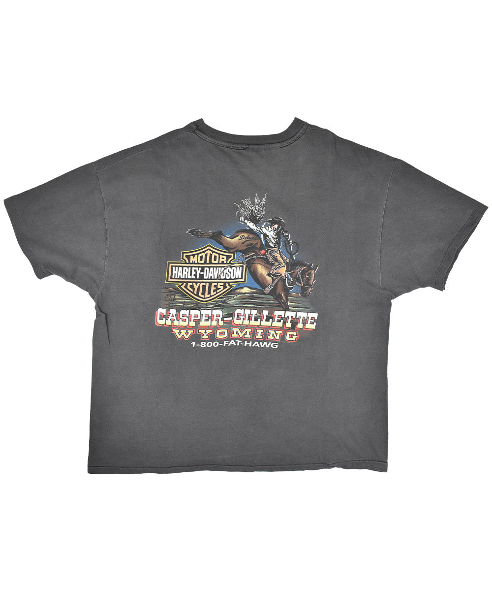 Camiseta HARLEY DAVIDSON 1996 (2XL)