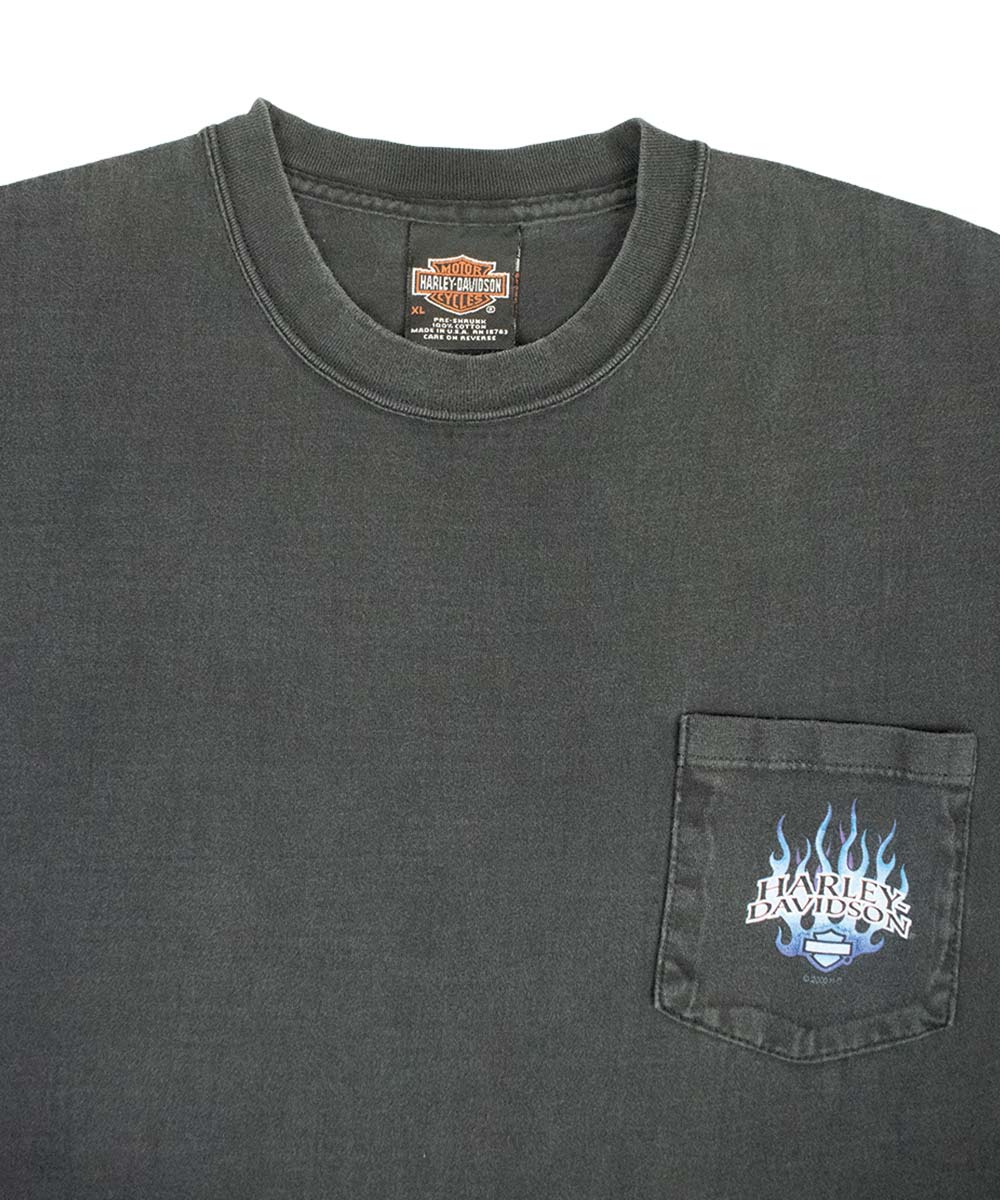 Camiseta HARLEY DAVIDSON 1999 (XL)