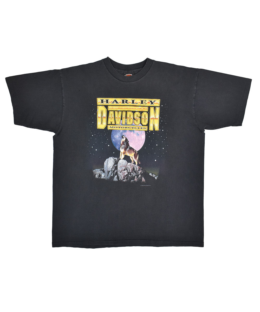 Camiseta HARLEY DAVIDSON 1993 (L)