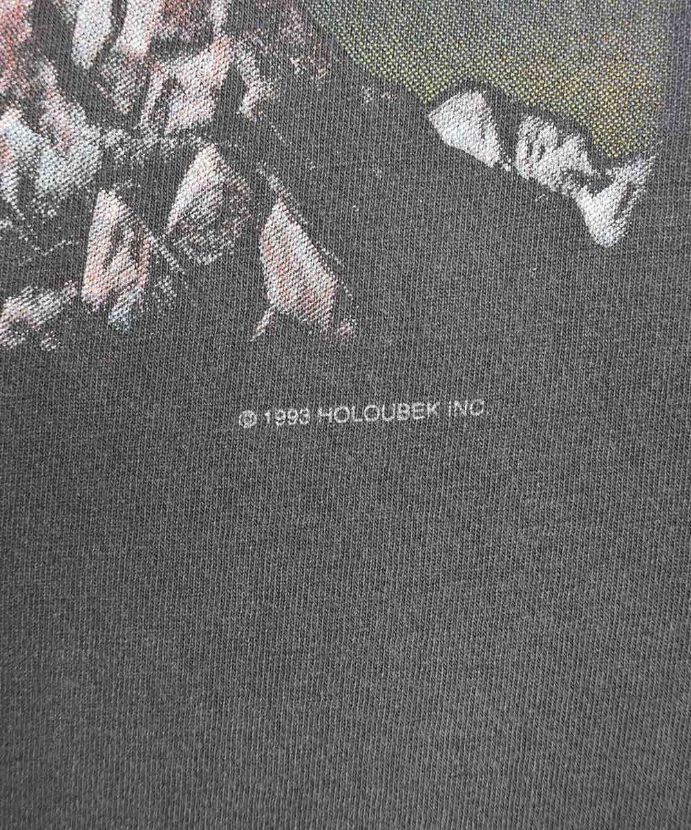 Camiseta HARLEY DAVIDSON 1993 (L)