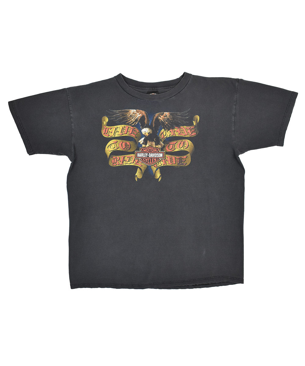 Camiseta HARLEY DAVIDSON 2000 (XL)