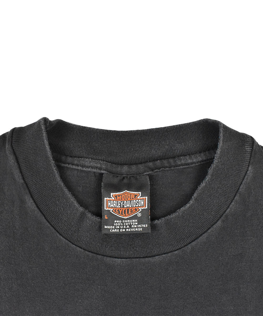 Camiseta HARLEY DAVIDSON 1998 (L)