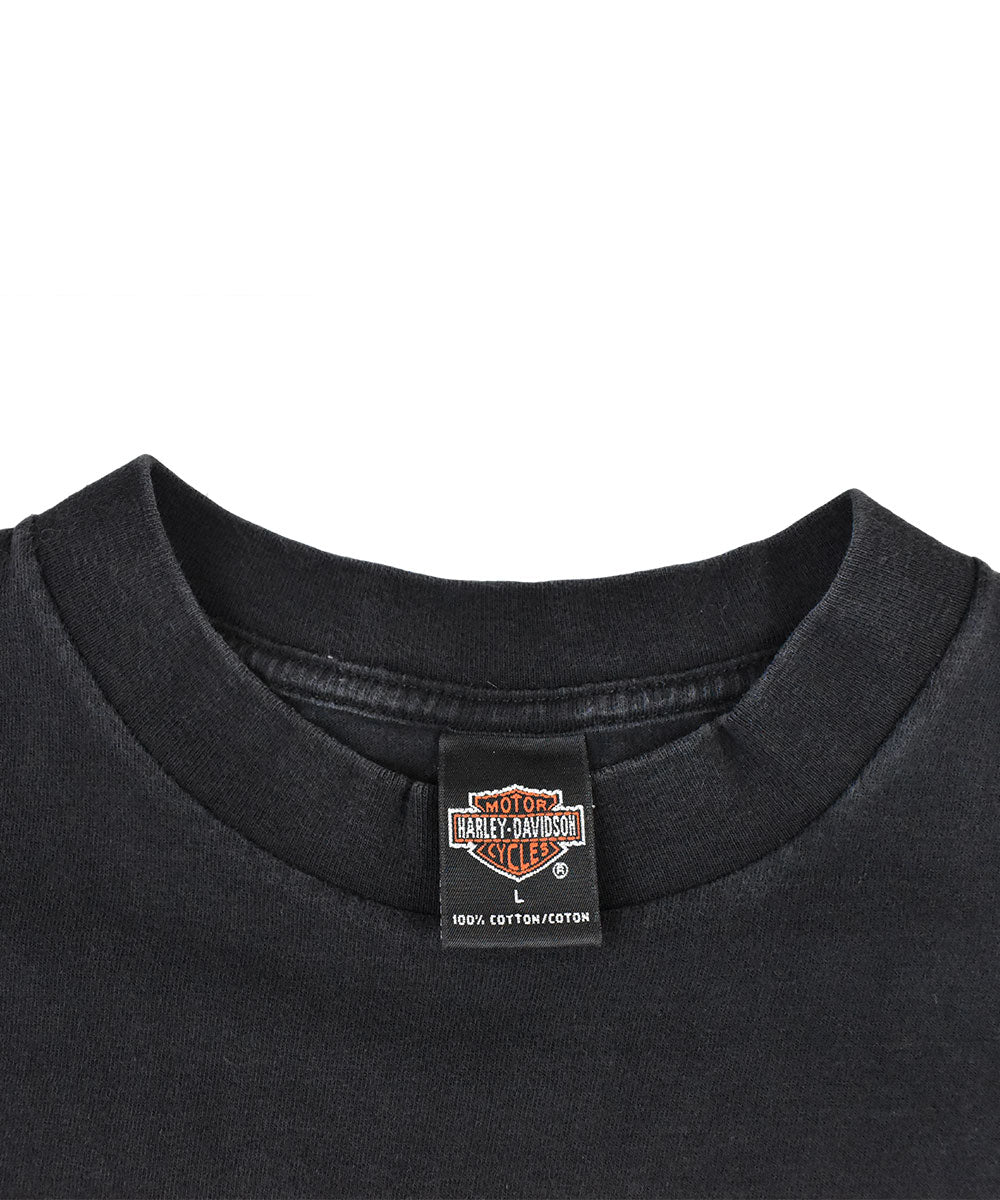 Camiseta HARLEY DAVIDSON 1998 (L)