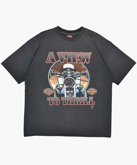 1990s HARLEY DAVIDSON T-Shirt (XL)