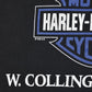 Camiseta vintage HARLEY DAVIDSON 1995 (L)